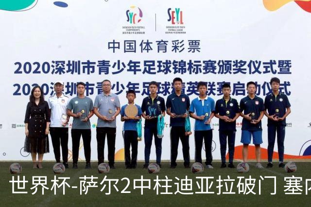 世界杯-萨尔2中柱迪亚拉破门 塞内加尔半场暂1-0比利时