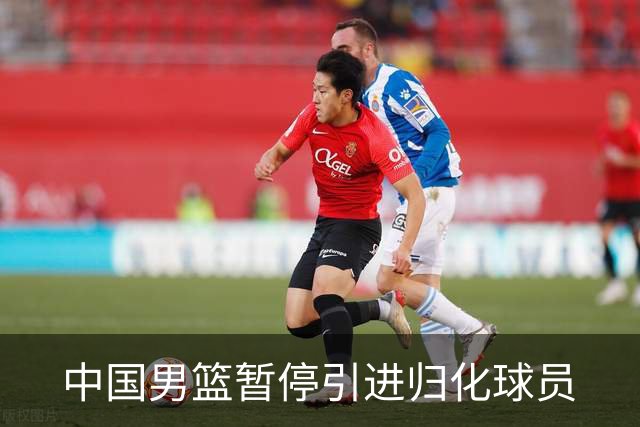 中国男篮暂停引进归化球员