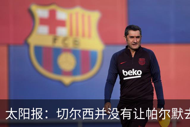 太阳报：切尔西并没有让帕尔默去游说罗杰斯，但两人感情很好