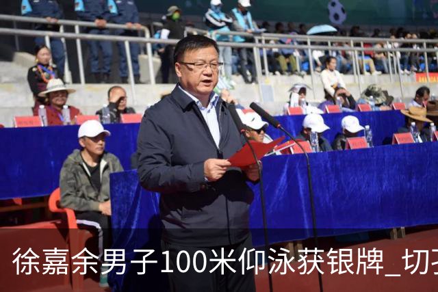 徐嘉余男子100米仰泳获银牌 切孔夺金