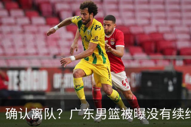 确认离队？广东男篮被曝没有续约杜锋，新主教练人选正式曝光！