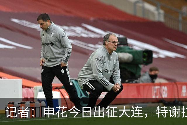 记者：申花今日出征大连，特谢拉、米内罗、李可因伤无法出战