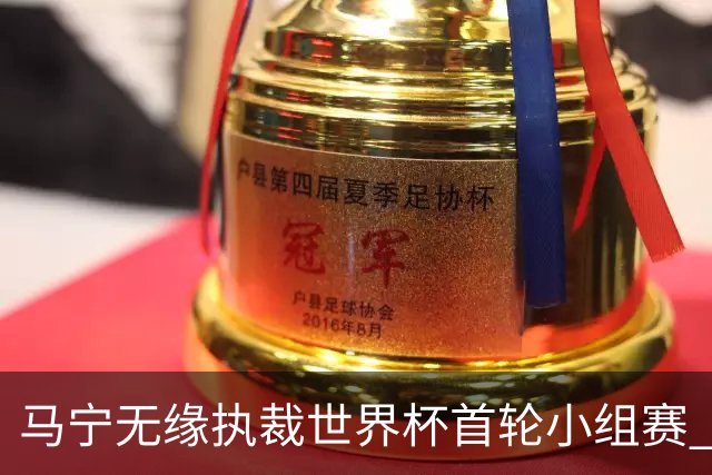 马宁无缘执裁世界杯首轮小组赛 中国裁判三人组仅傅明亮相