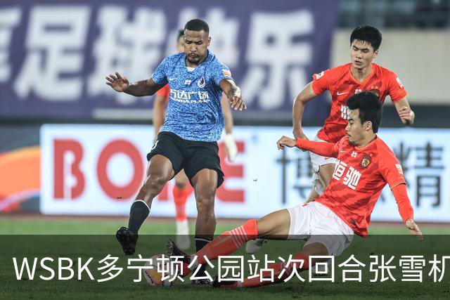 WSBK多宁顿公园站次回合张雪机车第十 德比斯车手榜第二